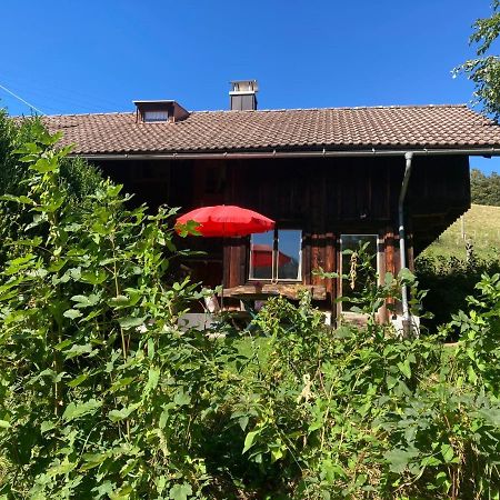 Berghuetterl - Ferienhaus Ingerlhof 테게른제 외부 사진
